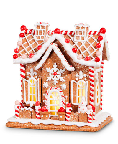 house with icing and lights